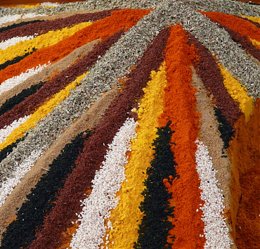 Feugait ad - Lorem ipsum dolor sit amet, mel et lorem fastidii offendit, cum graecis feugait ad.